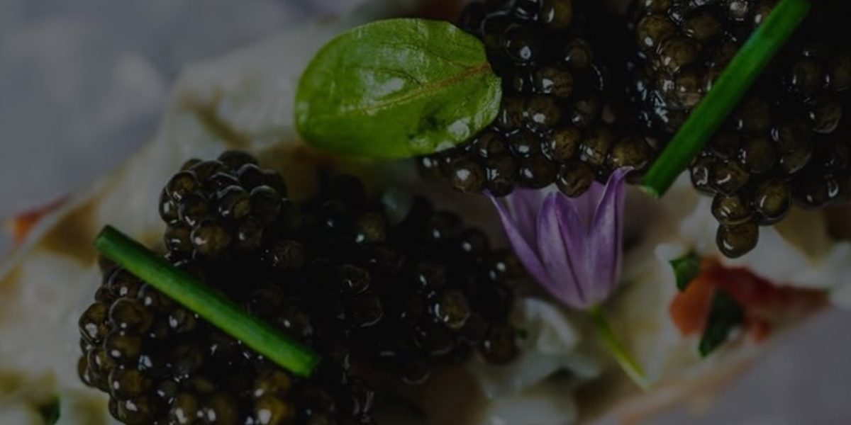 C61C-Case-Study-Page-Banner